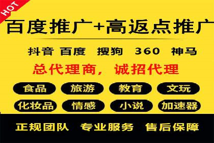 百度竞价推广案例：行业领军者成长故事